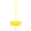 Biggdesign Cats Lemonade Glass Bottle 320 ml Yellow