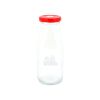 Biggdesign Cats Lemonade Glass Bottle 320 ml Red